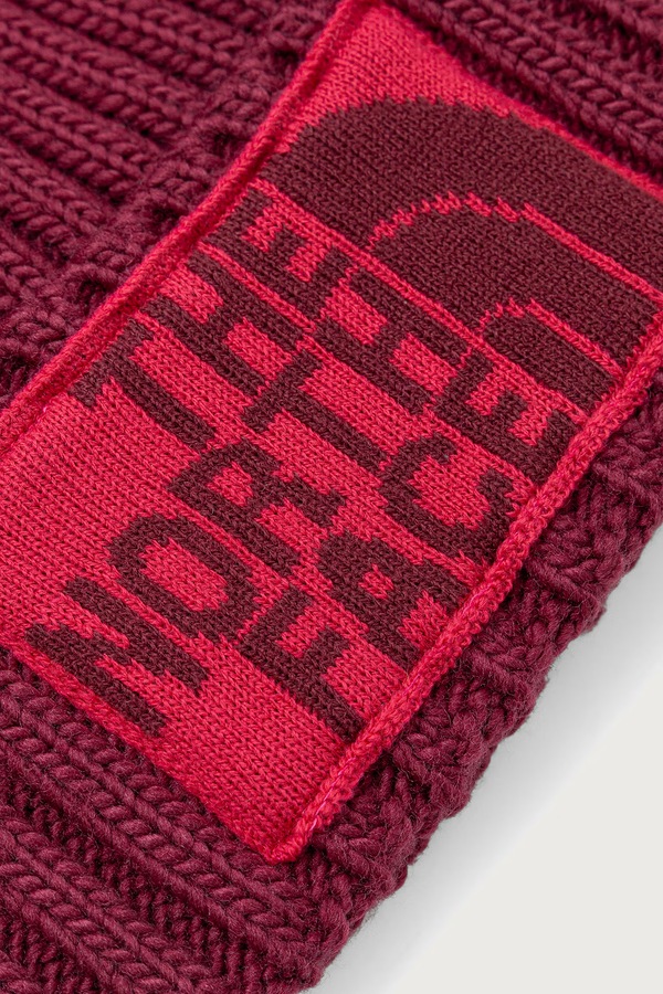 Шапка The North Face Heritage Ski Tuke фото 3