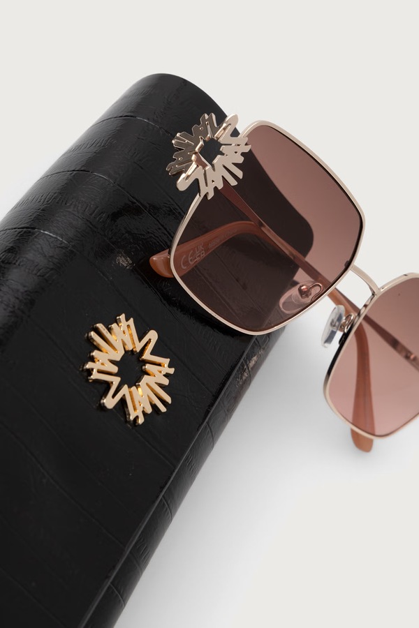 Сонцезахисні окуляри жіночі Aldo x ZUHAIR MURAD колір коричневий фото 3
