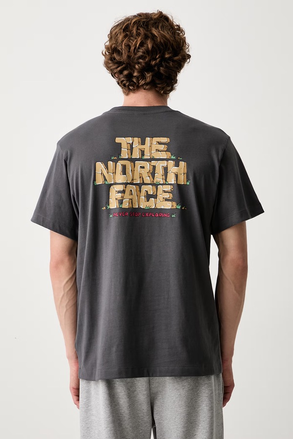 Футболка чоловіча бавовняна The North Face Relaxed колір сірий