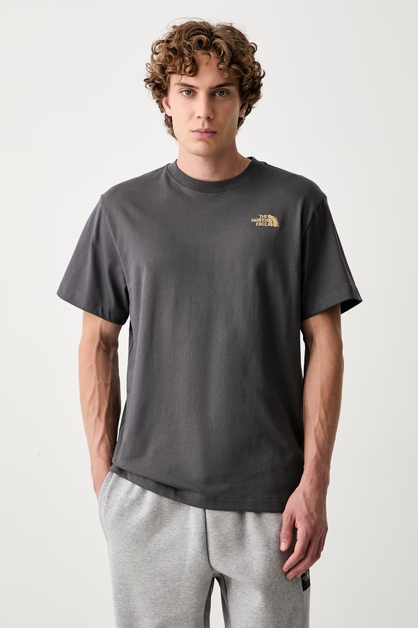 Футболка чоловіча бавовняна The North Face Relaxed колір сірий фото 3
