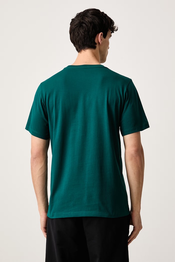 Футболка чоловіча з бавовною The North Face Simple Dome колір зелений фото 3