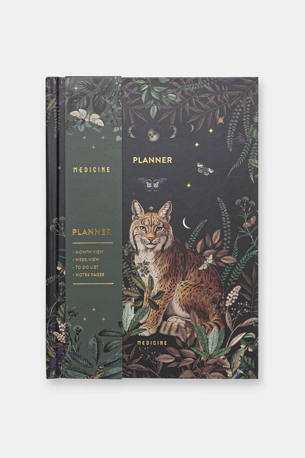 Планер Medicine