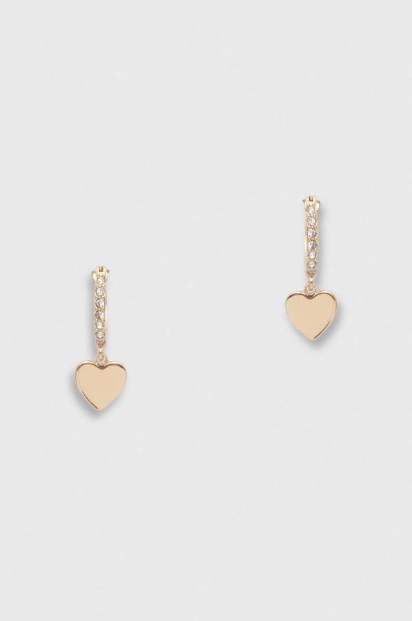 Сережки DKNY