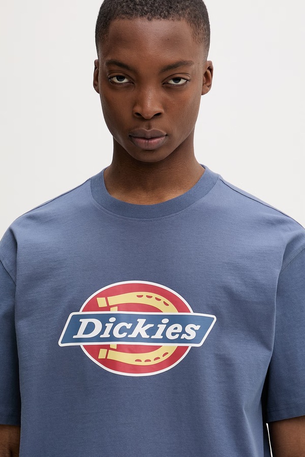Футболка чоловіча бавовняна Dickies колір блакитний фото 4