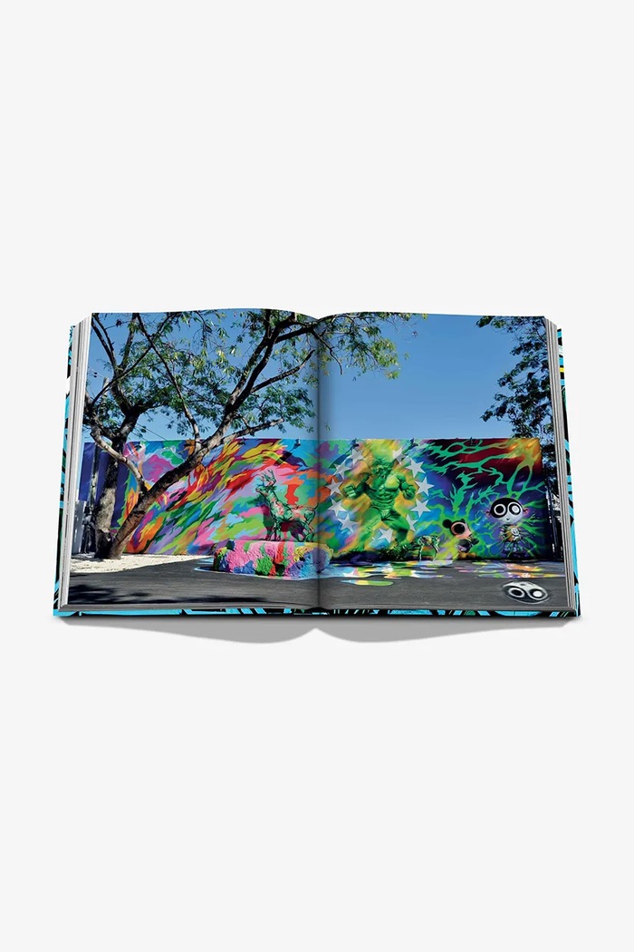 Assouline libro Street Art Icons vy Jessica Goldman Srebnick, English 9781649802910