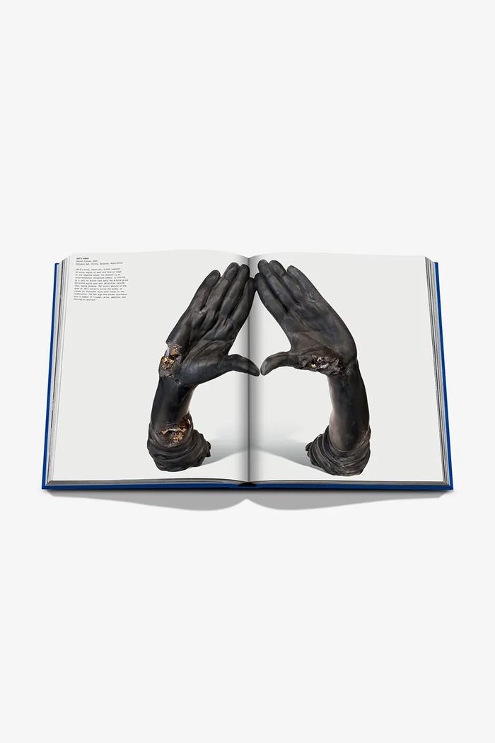 Assouline book The Book of Hov: A Tribute to Jay-Z, Collectif, English 9781649804259 multicolor