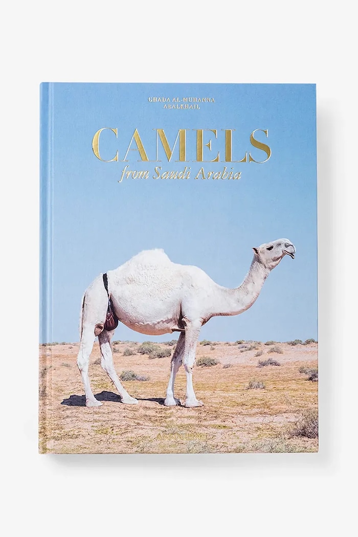 Assouline książka Camels from Saudi by Ghada AlMuhanna Abalkhail, English multicolor 9781649803672