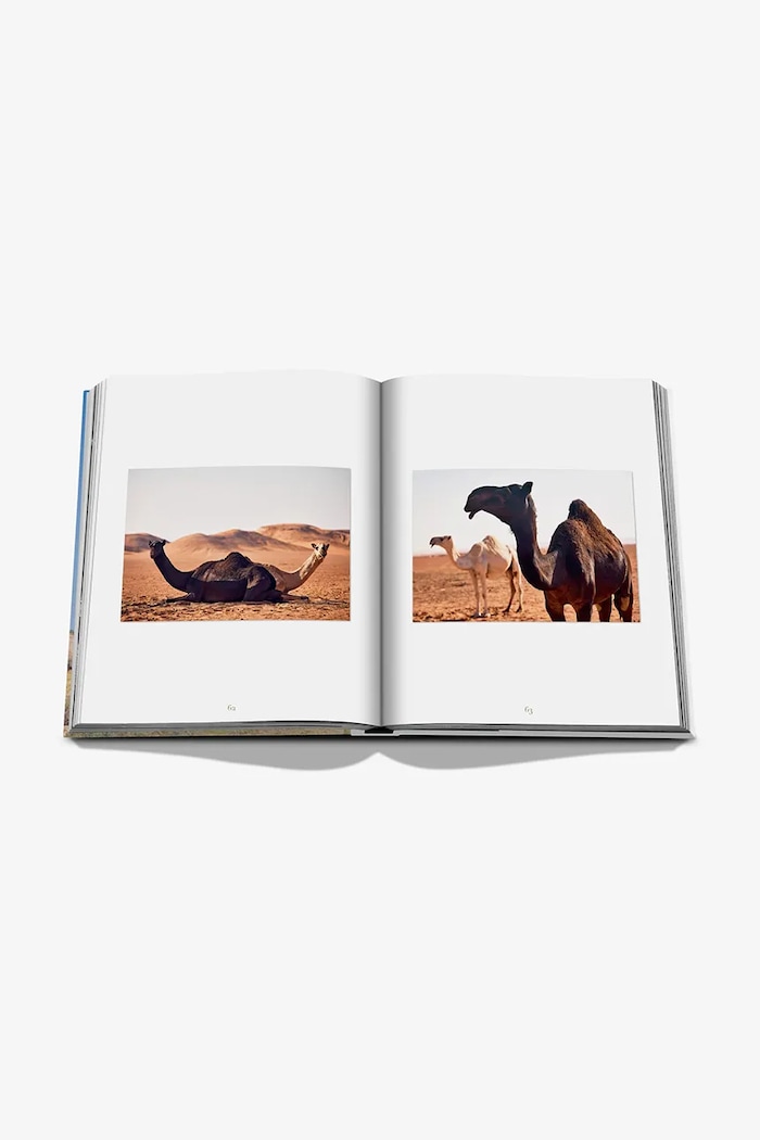 Assouline książka Camels from Saudi by Ghada AlMuhanna Abalkhail, English 9781649803672