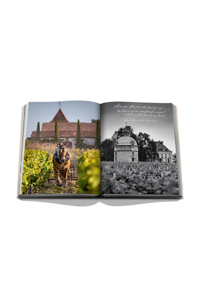 Assouline książka Wine & Travel France by Enrico Bernardo, English 9781649803849 pomarańczowy