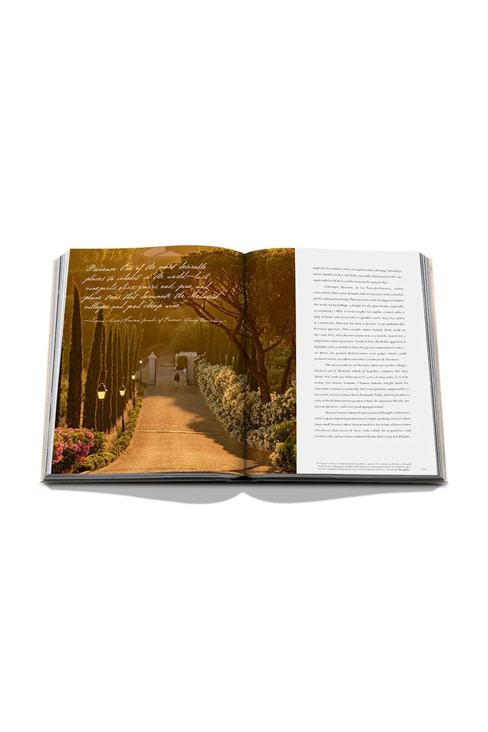 Assouline książka Wine & Travel France by Enrico Bernardo, English 9781649803849