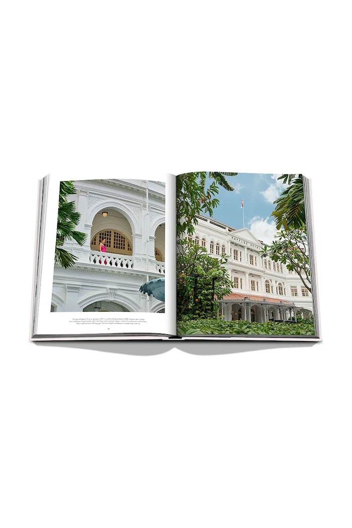 Assouline książka Raffles by Mark Ellwood 9781649804112