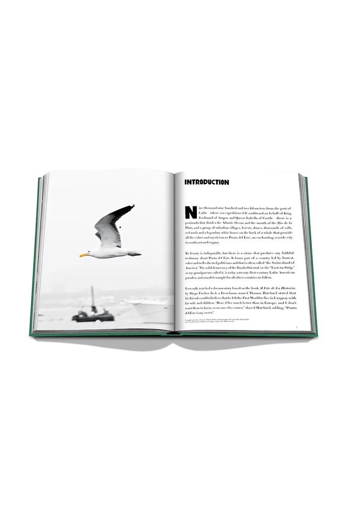 Kniha Assouline Punta Del Este by Bony Bullrich, English viacfarebná 9781649801845