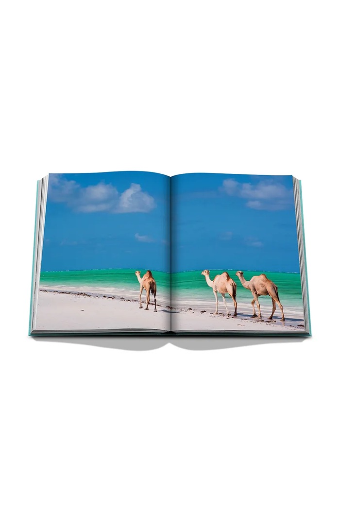 Assouline książka Saudi Arabia: Red Sea, the Saudi Coast by Christopher Smit, English turkusowy 9781649800848