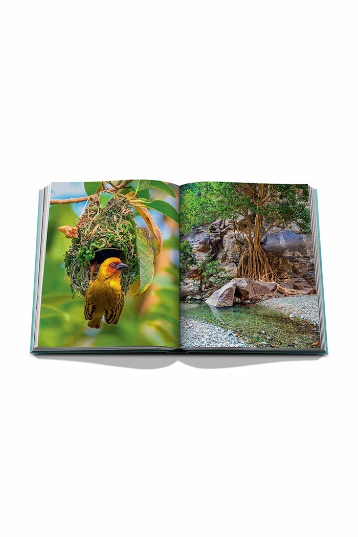 Assouline książka Saudi Arabia: Red Sea, the Saudi Coast by Christopher Smit, English 9781649800848