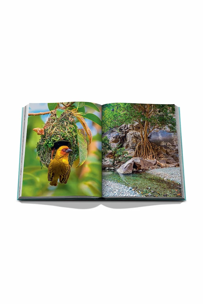 Assouline książka Saudi Arabia: Red Sea, the Saudi Coast by Christopher Smit, English 9781649800848