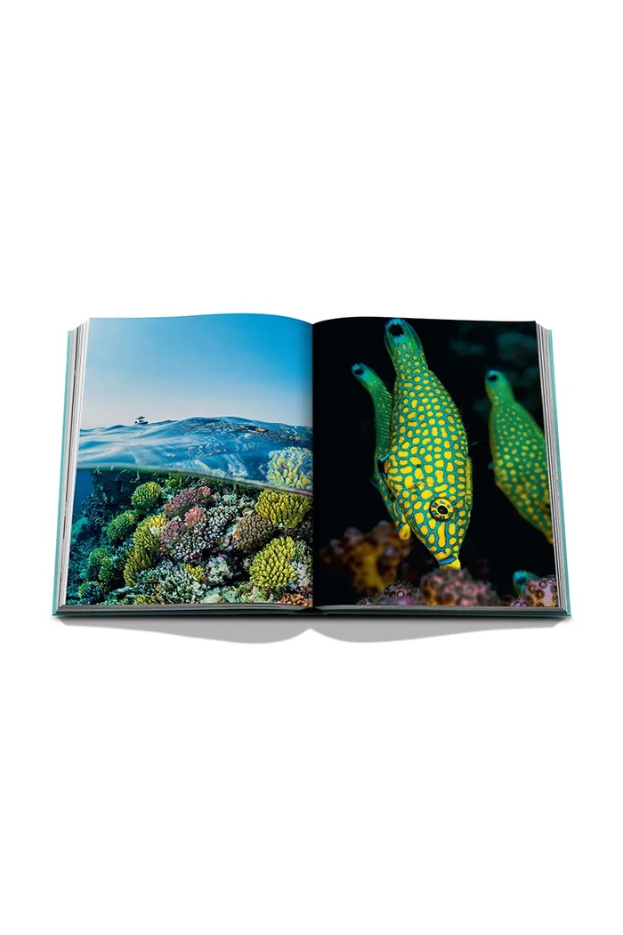 Assouline książka Saudi Arabia: Red Sea, the Saudi Coast by Christopher Smit, English 9781649800848