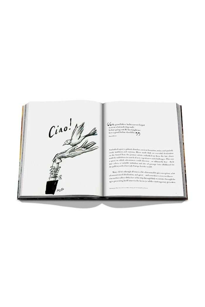 Kniha Assouline Italian Chic by Daria Reina, Andrea Ferolla, English viacfarebná 9781614286806