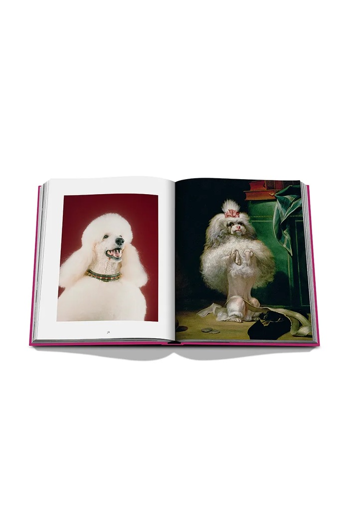Книга Assouline Chic Dogs by Robert Williams, English 9781649804419