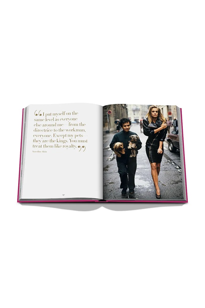 Книга Assouline Chic Dogs by Robert Williams, English 9781649804419