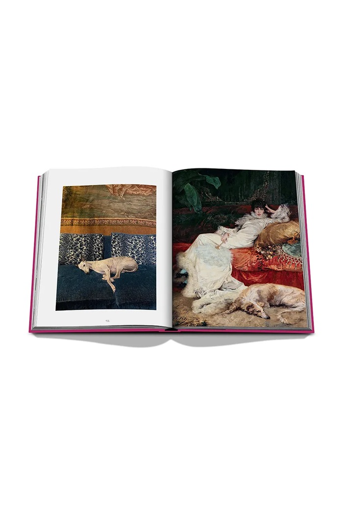 Книга Assouline Chic Dogs by Robert Williams, English 9781649804419