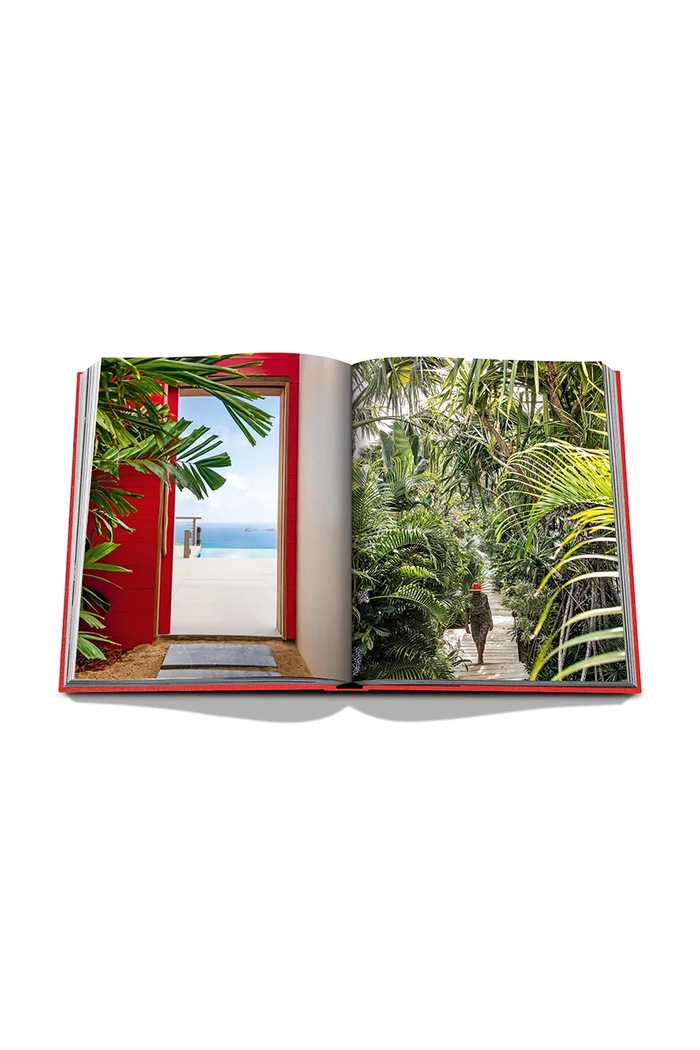 Kniha Assouline St. Barths Freedom by Vassi Chamberlain, English 9781649801425