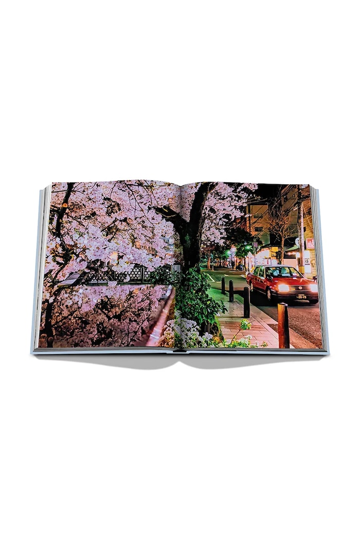Kniha Assouline Kyoto Serenity by François Simon, English viacfarebná 9781649803528