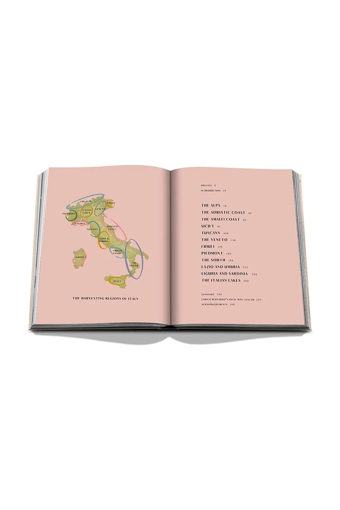 Βιβλίο Assouline Wine & Travel Italy by Enrico Bernardo, English πολύχρωμο 9781649804181