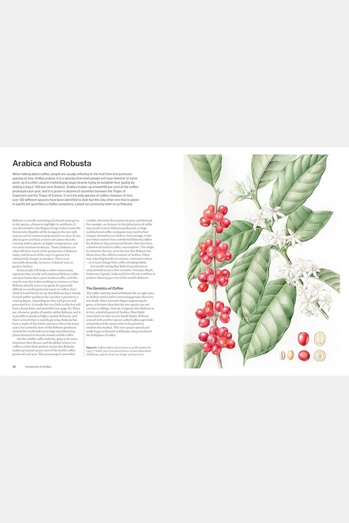 Книга home & lifestyle The World Atlas of Coffee, English OC1053
