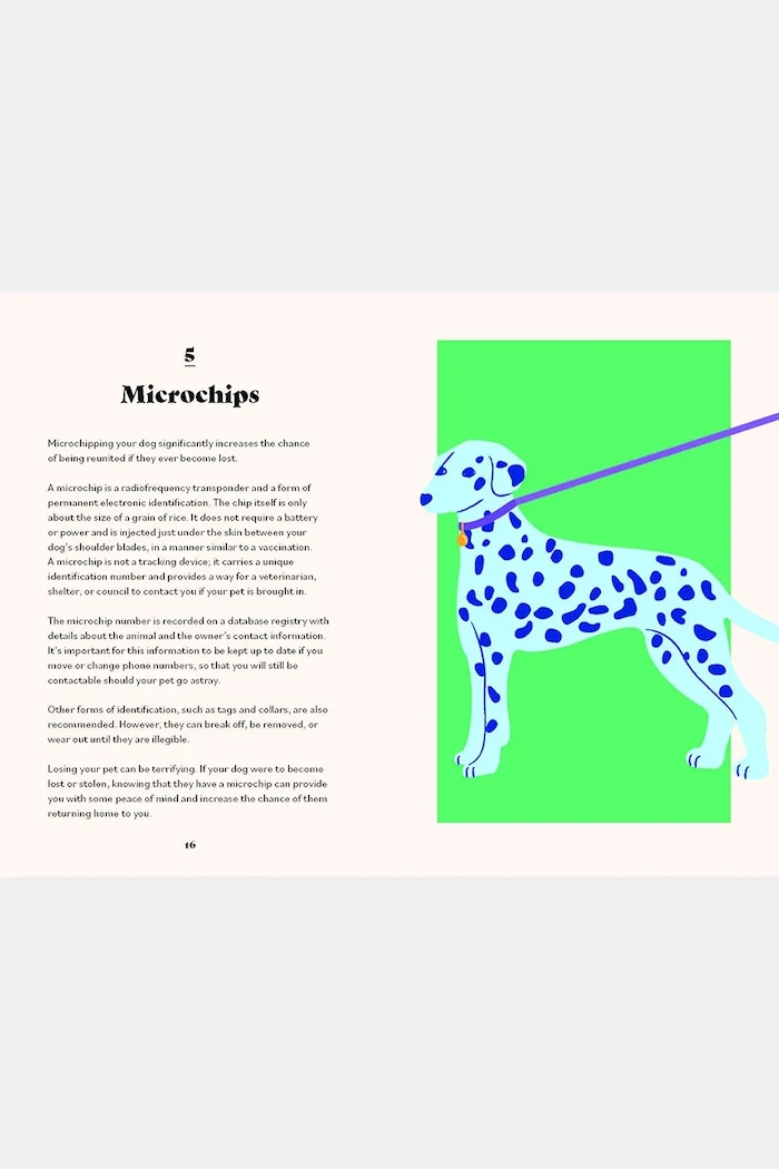 Kniha home & lifestyle The Ultimate Guidebook for Dog Owners by Marlena Lopez, English SSB1071 viacfarebná AA00