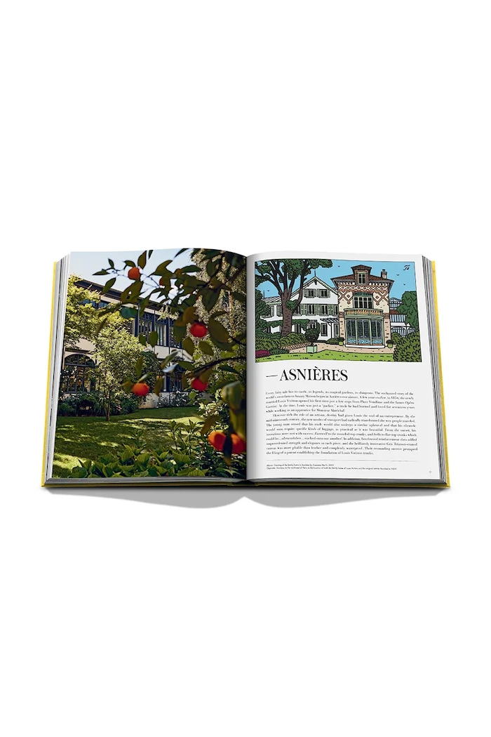 Assouline libro From Louis to Vuitton, English multicolore 9781649803955