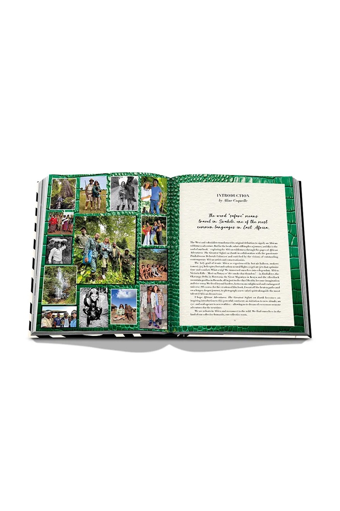 Assouline fotokniha African Adventures: The Greatest Safari on Earth, Aline Coquelle 9781649801999 viacfarebná