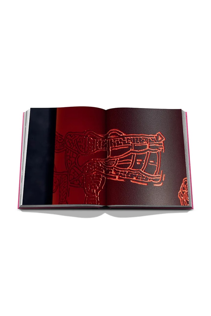 Assouline fotografska knjiga The Art of Tequila: Spirit of Mexico, Suleman Anaya 9781649805997