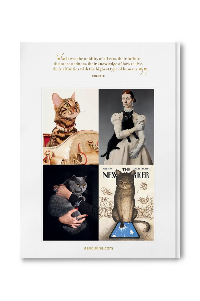 Lifestyle Assouline książka fotograficzna Chic Cats, Brett Martin 9781649806871 pomarańczowy