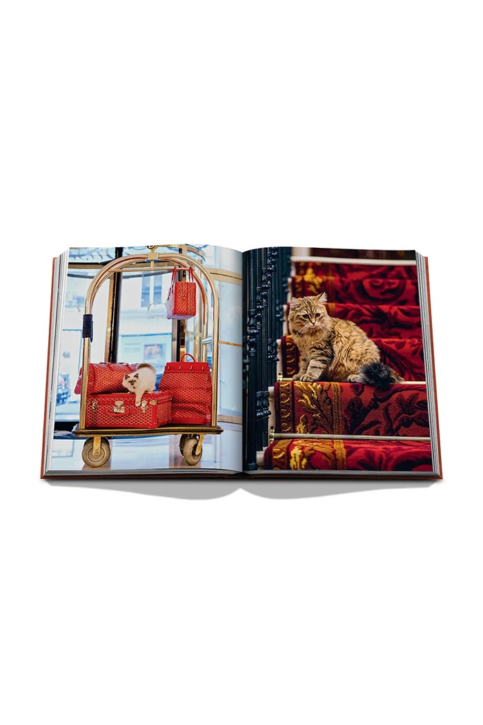 Assouline książka fotograficzna Chic Cats, Brett Martin 9781649806871