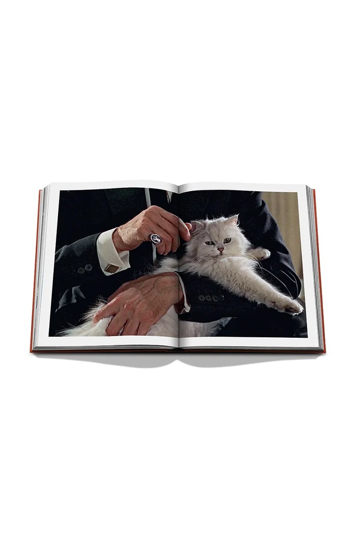 Assouline książka fotograficzna Chic Cats, Brett Martin 9781649806871