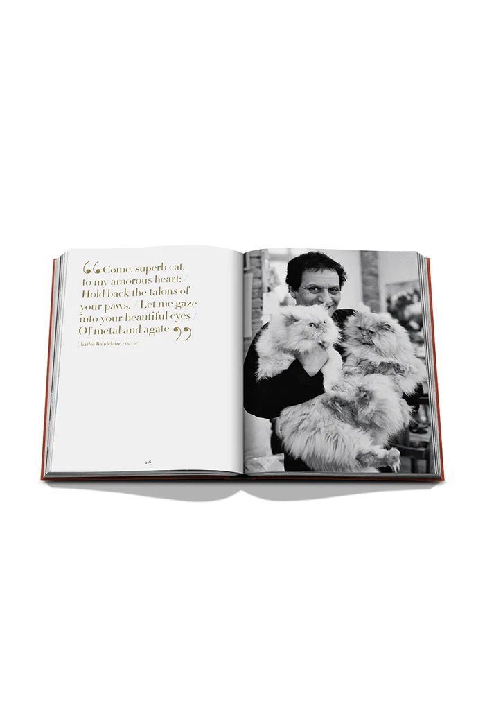 Assouline książka fotograficzna Chic Cats, Brett Martin 9781649806871