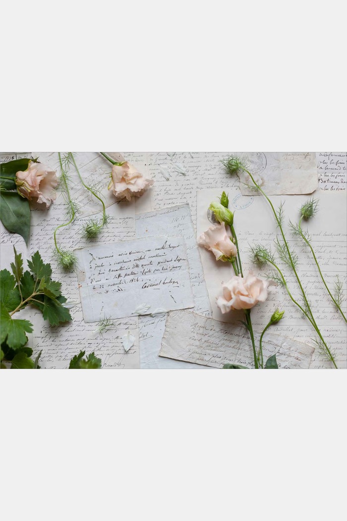 Lifestyle Książka fotograficzna French Blooms, Sandra Sigman, Victoria A. Riccardi RI1393 multicolor