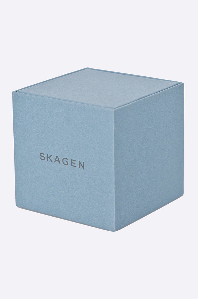 Doplnky Skagen - Hodinky SKW2149 SKW2149 strieborná
