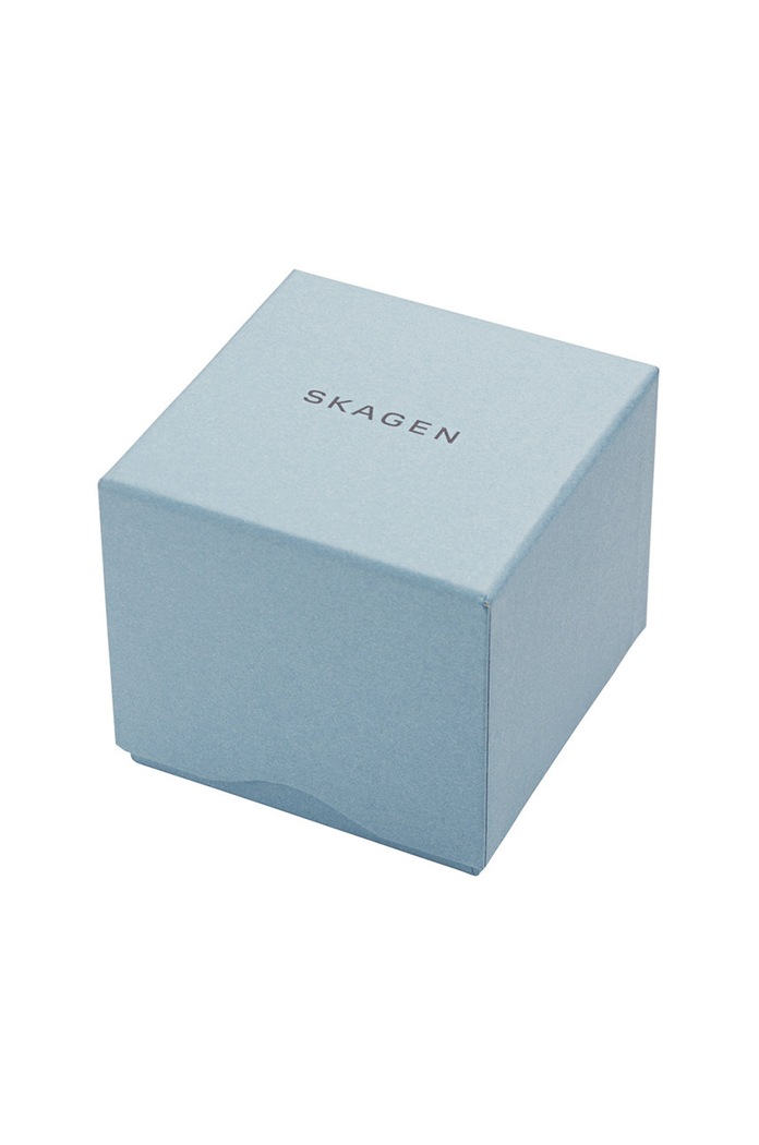 Ceas Skagen argintiu SKW2789
