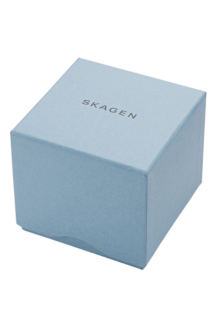 Accesorii Skagen Cercei SKJ1275998 argintiu