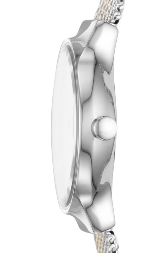 Skagen - Ceas SKW2698 SKW2698 argintiu AA00