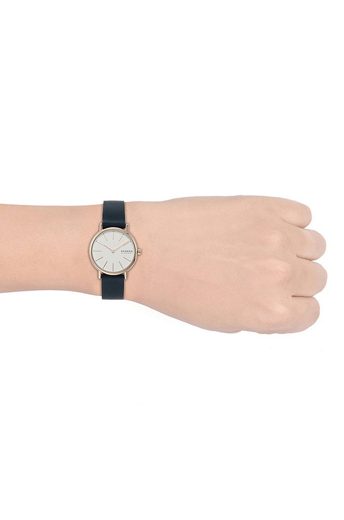 Skagen - Hodinky SKW2838 SKW2838