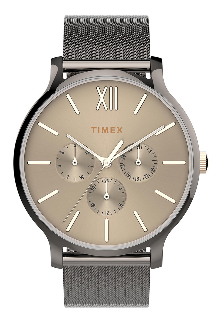 Timex - Hodinky TW2T74700 stříbrná TW2T74700