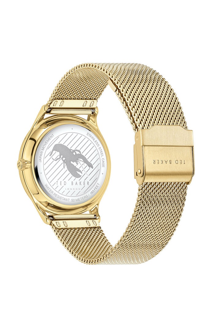 Doplňky Hodinky Ted Baker BKPBGS007 zlatá