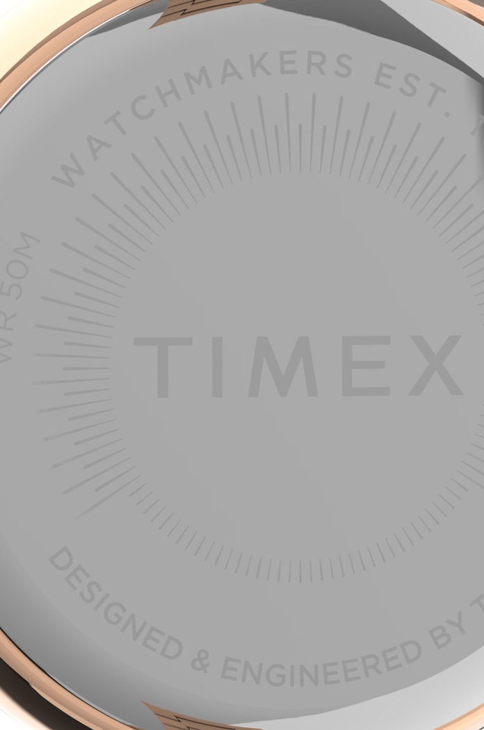 Hodinky Timex Tw2v24600 City TW2V24600 zlatá