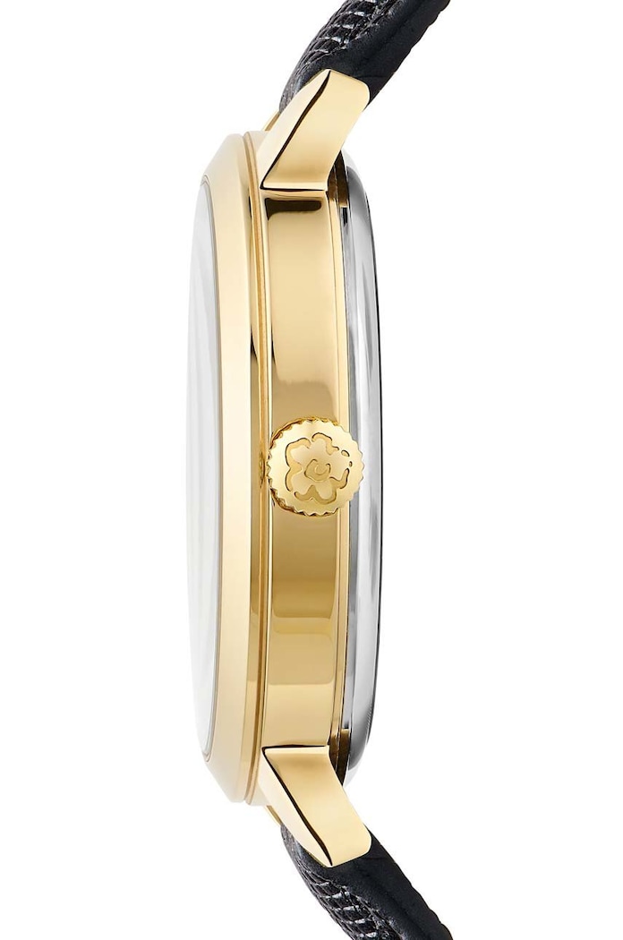 Ted Baker Hodinky Ted Baker BKPLIF204 černá AA00