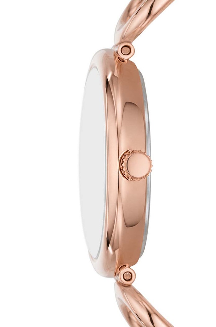 Accesorii Fossil ceas ES5273 aur