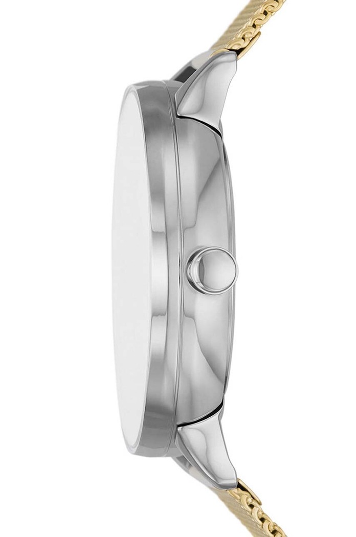 Skagen Ceas SKW3092 aur AA00