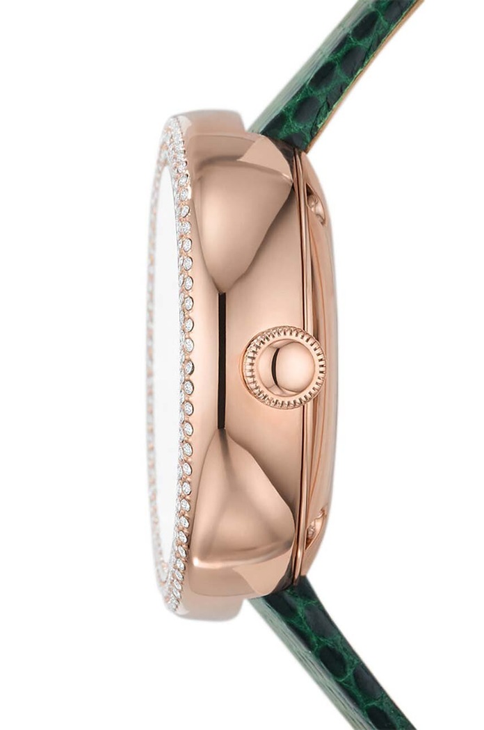 Kiegészítők Emporio Armani óra AR60069 zöld