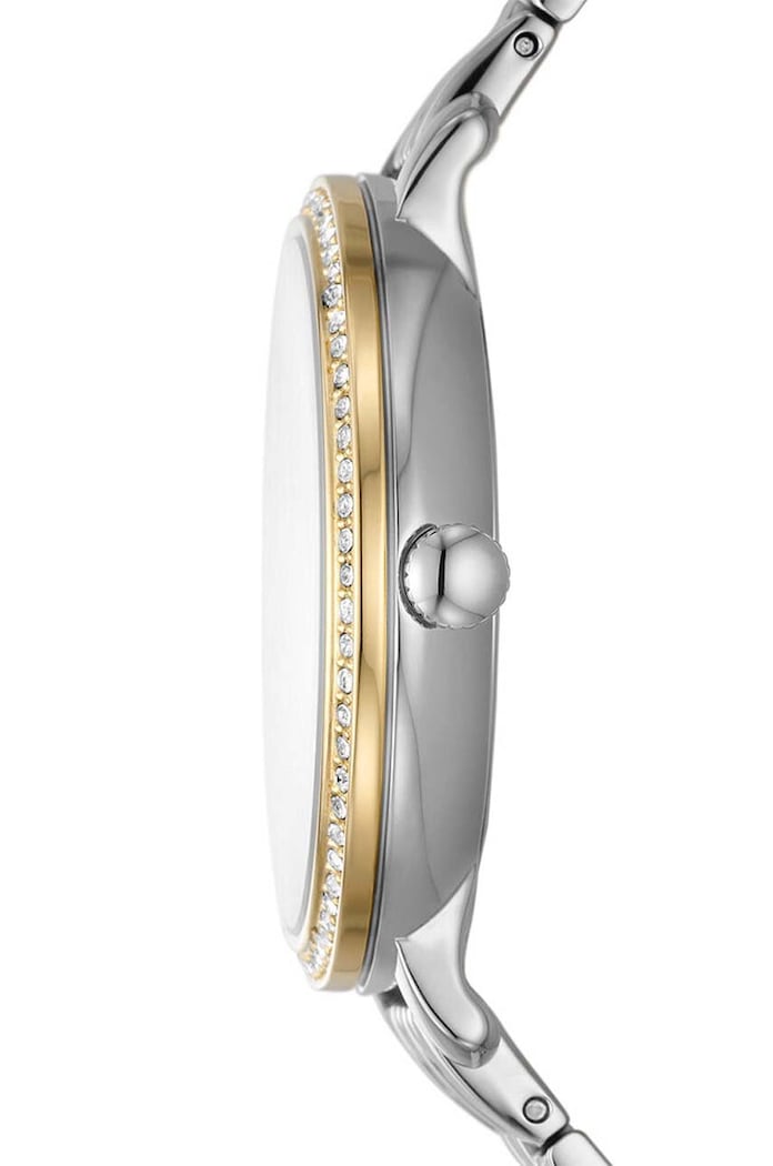 Hodinky Fossil ES5166 ES5166 viacfarebná AA00